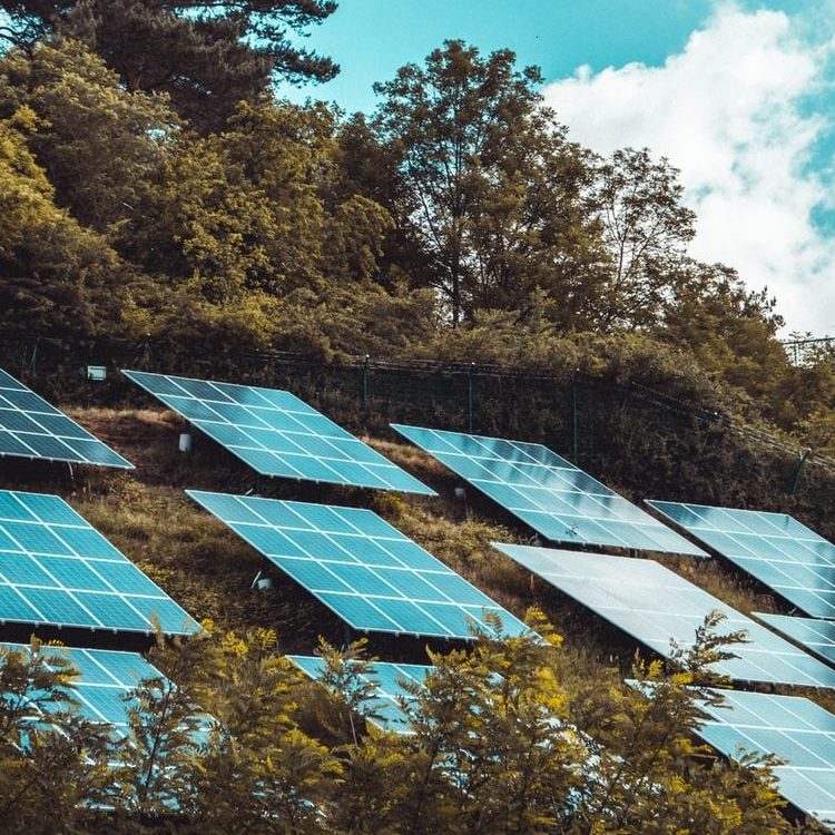 solar panels on green grass field